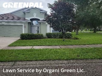 Lawn Mowing Service nearby Valrico, FL, 