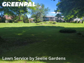 Lawn Mow nearby Grafton, WI, 