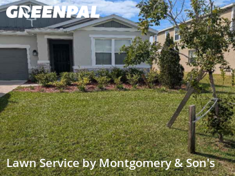 Grass Cutting nearby Lakeland, FL, 