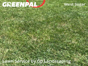 Lawn Cutting nearby Charlotte, NC, 