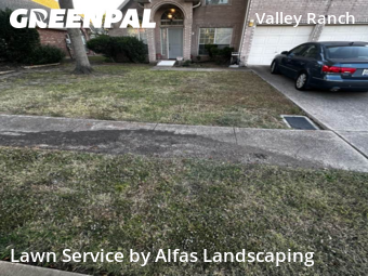 Lawn Mowingin Irving,75063,Yard Cutting by Alfas Landscaping, work completed in Dec , 2025