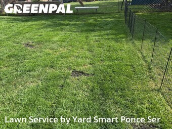 Lawn mowed in Romeoville, 60446