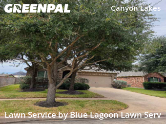 Grass Cuttingin Cypress,77433,Lawn Mowing Service by Blue Lagoon Lawn Serv, work completed in Dec , 2025
