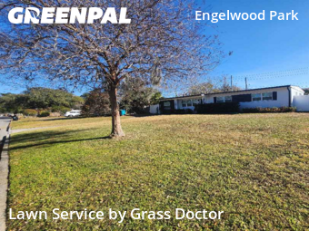 Commercial Landscaping In Orlando,32807,Landscaping Installation by Grass Doctor, work completed in Feb , 2026