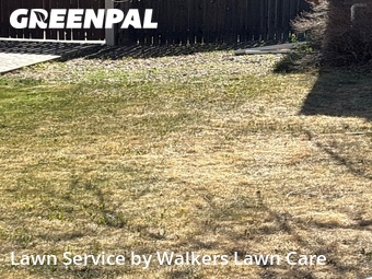 Lawn Mowing Service nearby Colorado Springs, CO, 
