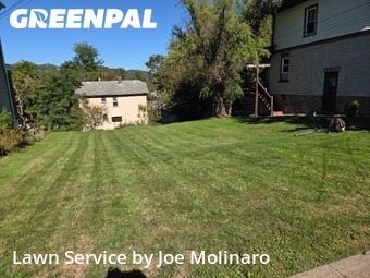 Grass Cutting nearby Coraopolis, PA, 