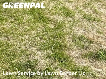 Grass Cut nearby Evans, CO, 
