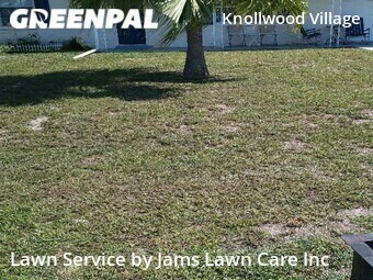 Lawn Cut nearby Holiday, FL, 