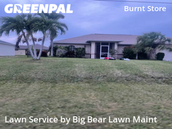 Grass Cut nearby Cape Coral, FL, 