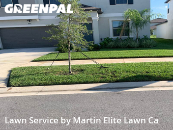 Lawn Care nearby Wesley Chapel, FL, 