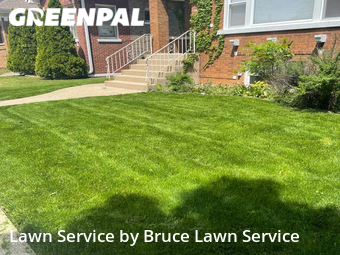 Lawn Mow nearby Chicago, IL, 