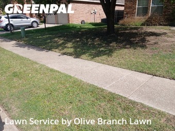 Yard Mowing nearby Roanoke, TX, 