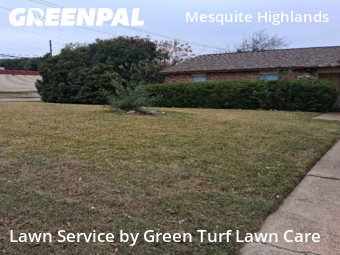 Lawn Cut nearby Mesquite, TX, 