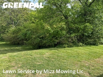 Lawn Mowing Service nearby Roanoke, VA, 