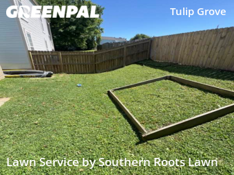 Grass Cuttingin Hermitage,37076,Grass Cut by Southern Roots Lawn, work completed in Nov , 2025