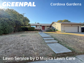 Work completed by yard-maintenance-professionals-in-Rancho Cordova-CA