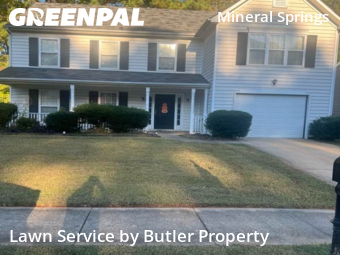 Yard Mowingin Charlotte,28262,Yard Mowing by Butler Property, work completed in Nov , 2025
