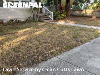 Landscape Design In St. Petersburg,33704,Landscape Design by Clean Cutts Lawn , work completed in Nov , 2025