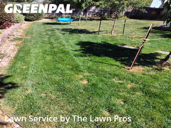 Lawn Maintenance nearby Broomfield, CO, 