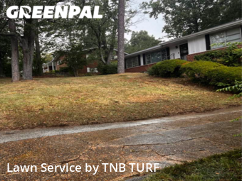 Grass Cut nearby Chattanooga, TN, 