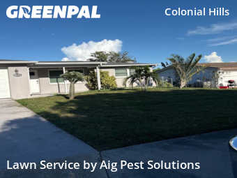 Lawn Mowing Service nearby New Prt Rchy, FL, 