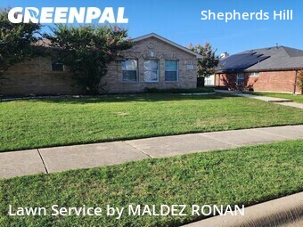 Yard Cutting nearby Frisco, TX, 