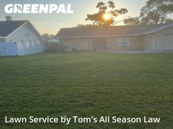 Grass Cut nearby Spring Hill, FL, 