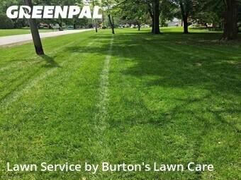 Lawn Cut nearby Youngstown, PA, 