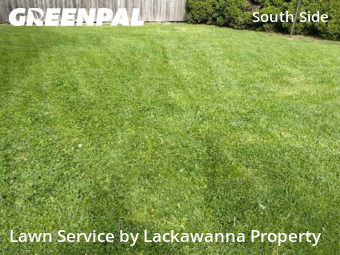 Grass Cutting nearby Scranton, PA, 