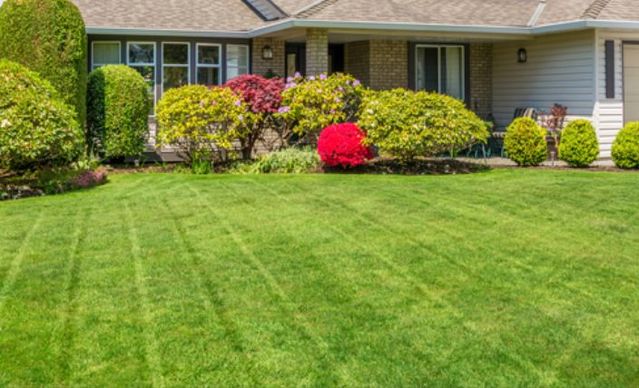 affordable-landscaping-maintenance-services-in-St Peters-MO