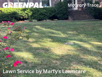 Yard Cutting nearby Nashville, TN, 