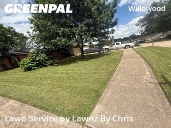 Grass Cut nearby Houston, TX, 