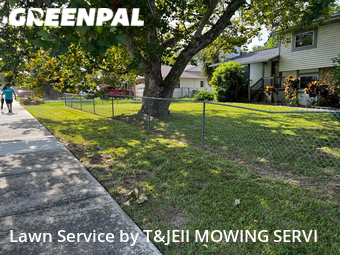Lawn Cut nearby Winter Garden, FL, 