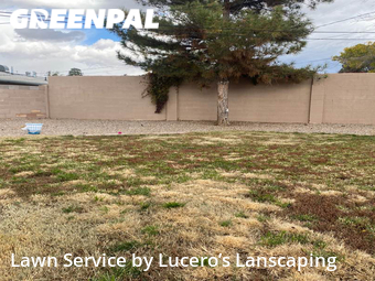 Lawn Mowing Service nearby Albuquerque, NM, 