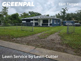 Grass Cut nearby Tampa, FL, 