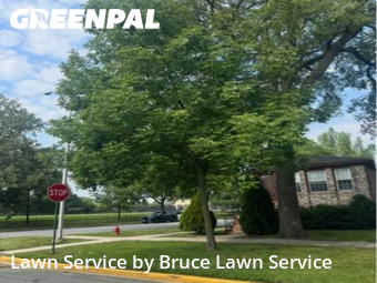 Yard Mowing in Oak Park, 60302, Weekly Mowing by Bruce Lawn Service, work completed in Nov , 2025
