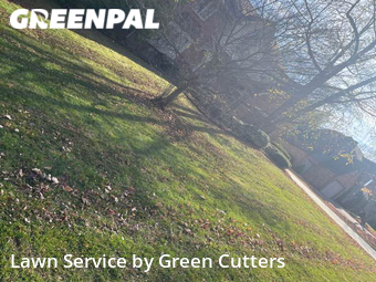 Grass Cutting nearby Indianapolis, IN, 