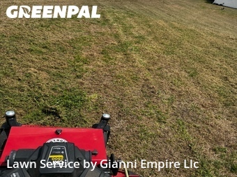 Lawn Cutin Yulee,32097,Lawn Mowing Service by Gianni Empire Llc, work completed in Jun , 2026
