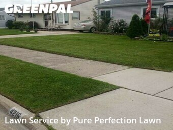 Lawn Management in Wyandotte, 48192, Landscaping Maintenance by Pure Perfection Lawn, work completed in Nov , 2025