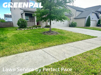 Grass Cut nearby Charlotte, NC, 