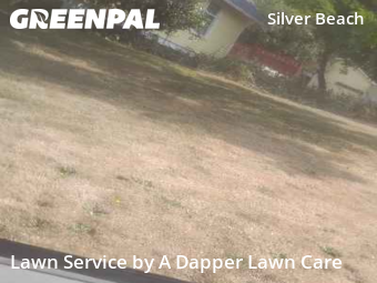 Lawn Cut nearby Bellingham, WA, 