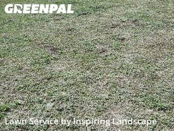 Lawn Cutting nearby Colorado Springs, CO, 