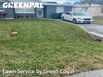 Grass Cutin Tampa,33609,Yard Cutting by Green Coqui, work completed in Feb , 2026