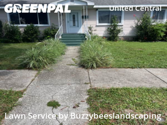 Lawn Cuttingin St Petersburg,33713,Lawn Mowing Service by Buzzybeeslandscaping, work completed in Feb , 2026