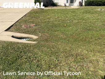 Grass Cutting nearby Palm Coast, FL, 