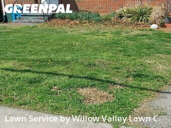 Yard Mowing nearby Roanoke, VA, 