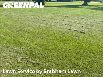 Grass Cutting nearby Gonzales, LA, 