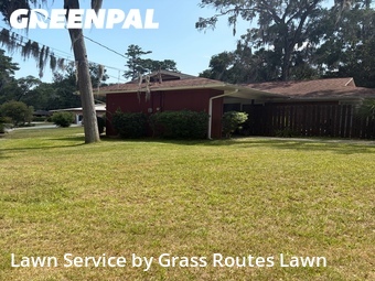 Grass Cut nearby Ocala, FL, 