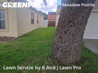 Lawn Care nearby Zephyrhills, FL, 