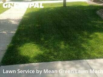 Yard Cutting nearby Commerce City, CO, 